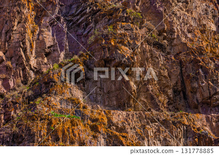 Rock formation with plants in rugged mountainous region 131778885