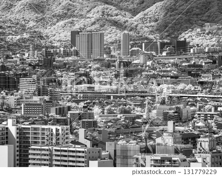 [Infrared photography] Densely built-up urban landscape 131779229