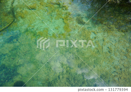 Small fish in a pond in the beautiful Plitvice Lakes National Park in Croatia 131779394