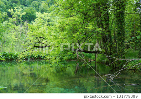 克羅埃西亞十六湖國家公園的美麗風景 131779399