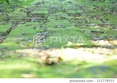 苔蘚鵝卵石 苔蘚鵝卵石 131779553