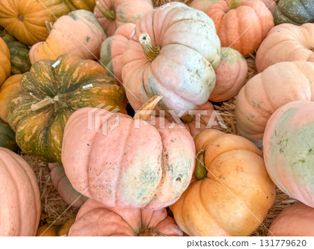 Large piles scattering of small pumpkins and gourds Large piles scattering of small pumpkins and gourds 131779620