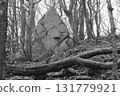in the forest 131779921