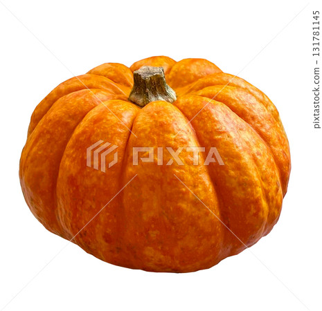 Closeup orange pumpkin isolated on white background 131781145