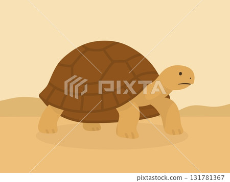 烏龜插圖 烏龜插圖 131781367
