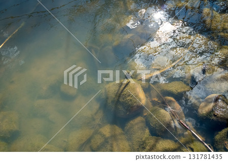 river, rock, rocky 131781435