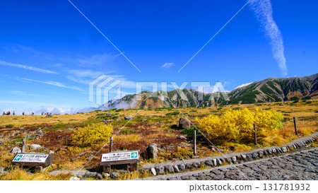 立山黑部阿爾卑斯山脈路線:富山郡室堂平步道與山中的秋葉 立山黑部阿爾卑斯山脈路線:富山郡室堂平步道與山中的秋葉 131781932