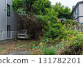 Abandoned house covered by trees 131782201