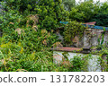Abandoned house covered by trees 131782203