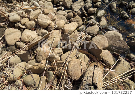 河岸 石頭 岩石 131782237