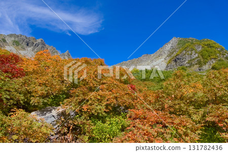 北阿爾卑斯山唐澤、唐澤山、北穗高山的紅葉 131782436