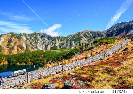 Tateyama Kurobe Alpine Route, Murododaira Mikurigaike Pond and Stone-paved Walking Path, Tateyama Mountain Range, Toyama Prefecture 131782453