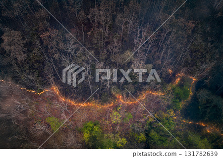 Forest fires release carbon dioxide and other greenhouse gasses, such as methane into the atmosphere. Carbon emissions come from deforestation. Forest fires release carbon dioxide and other greenhouse gasses, such as methane into the atmosphere. Carbon emissions come from deforestation. 131782639