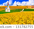 Beautiful sunflower fields and church in Andalusia 131782755