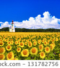 A composite photo of a sunflower field in Hokkaido and a European-style church 131782756
