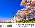 A composite photo of a row of cherry blossom trees in full bloom and a European-style church 131782757