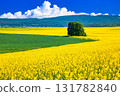 A beautiful rapeseed field in Bohemia and a cumulonimbus cloud composite 131782840
