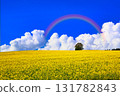 A beautiful rapeseed field in Bohemia and a cumulonimbus cloud composite 131782843