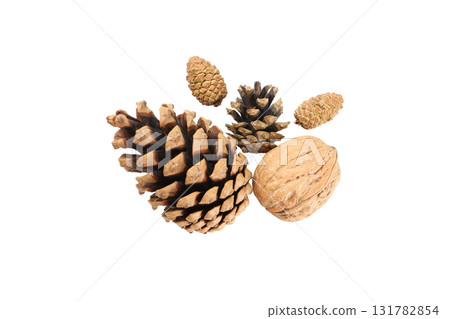 Natural elements boost Christmas cheer, on white, PNG Natural elements boost Christmas cheer, on white, PNG 131782854