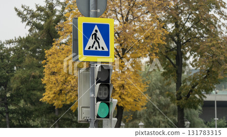 A traffic light with a green light and a crosswalk sign 131783315