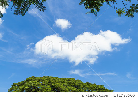 green trees in the blue sky 131783560