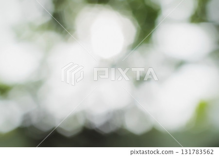 abstract nature background with blurry bokeh 131783562
