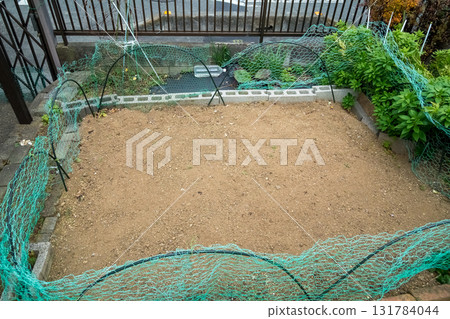 field, garden, yard 131784044