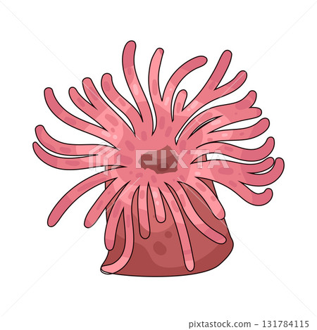 illustration of Sea Anemone 131784115