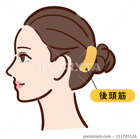 年輕女子的側面:枕骨肌肉的圖示(含名稱) 年輕女子的側面:枕骨肌肉的圖示(含名稱) 131785126