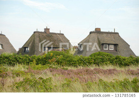 Frisian house with wattle roof in Sylt Island Germany Frisian house with wattle roof in Sylt Island Germany 131785165