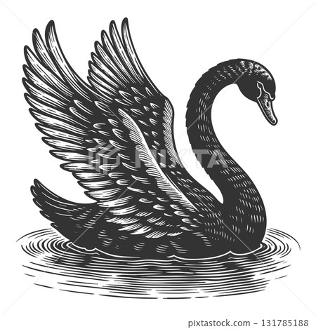 Black Swan Symbolizing Rare Unpredictable Events 131785188