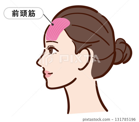 Profile of a young woman: Illustration of the frontalis muscle (with name) 131785196