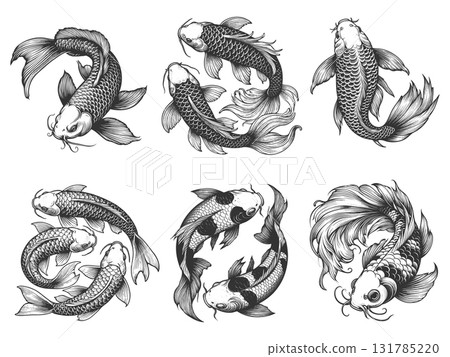 Koi Fish engraving set vector collection Koi Fish engraving set vector collection 131785220
