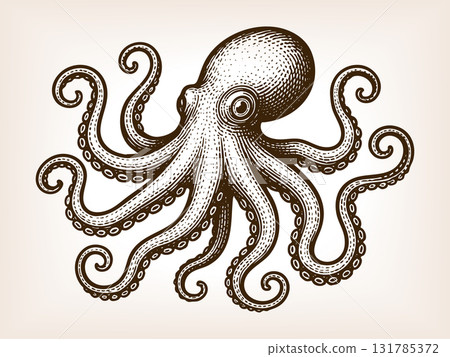 octopus with tentacles engraving sketch vector 131785372