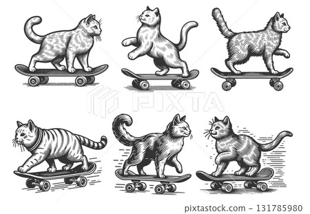 Cat Riding Skateboard engraving vector collection 131785980