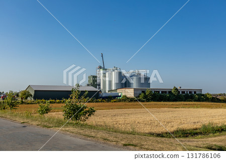 A granary facility featuring tall silos and large storage buildings stands beside a field ready for harvest in a rural setting 131786106