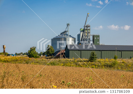Tall silos and a granary form the backdrop of a golden grain field, showcasing agricultural storage infrastructure on a sunny day Tall silos and a granary form the backdrop of a golden grain field, showcasing agricultural storage infrastructure on a sunny day 131786109