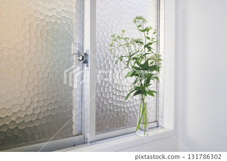 White flowers on the windowsill in the room 131786302
