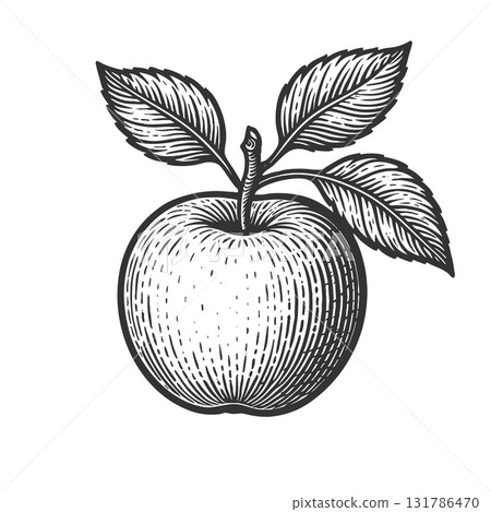 apple with leaves engraving raster illustration apple with leaves engraving raster illustration 131786470