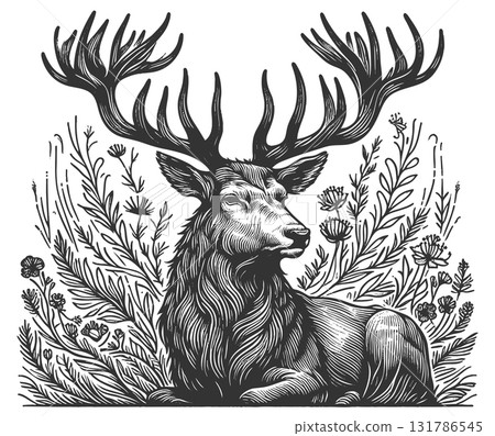 Majestic Deer with Antlers engraving vector 131786545