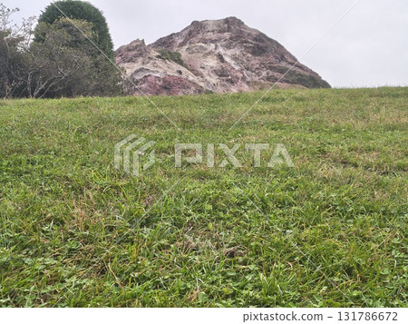 昭和新贊 131786672