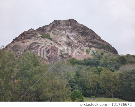 昭和新贊 131786673