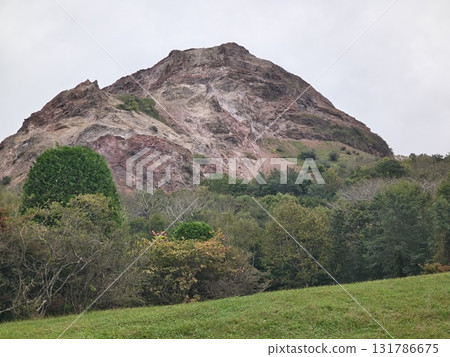 昭和新贊 131786675