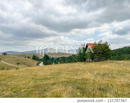 Rural landscape with grassy field, lonely house, pine trees and cloudy sky in the background. 131787367