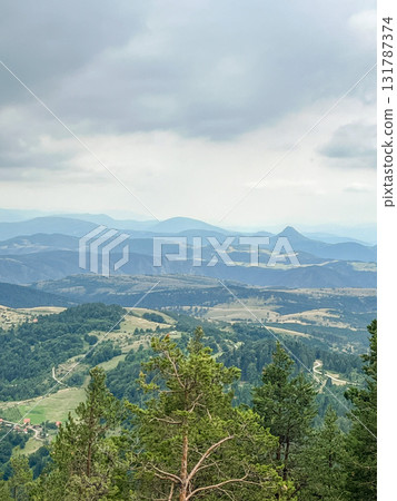 Dense pine forest in the foreground with rolling green hills and distant mountains under a sky Dense pine forest in the foreground with rolling green hills and distant mountains under a sky 131787374