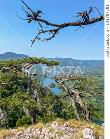 Canyon river meandering among green forested mountains; nature landscape photography under blue sky 131787381