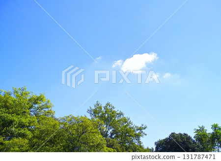 Blue sky and cloud image Blue sky and cloud image 131787471