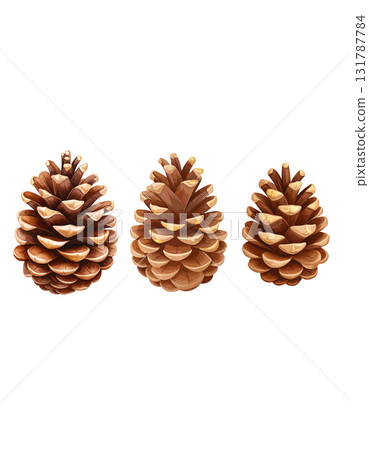 Brown pine cone isolated on white background Brown pine cone isolated on white background 131787784