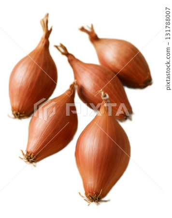 青蔥 青蔥 131788007