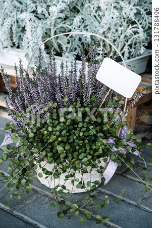 Heather Calluna vulgaris and trailing greenery arranged in a white basket with a ribbon and blank price tag on stone pavement. Cold-weather florals, florist retail, seasonal display, sustainable decor Heather Calluna vulgaris and trailing greenery arranged in a white basket with a ribbon and blank price tag on stone pavement. Cold-weather florals, florist retail, seasonal display, sustainable decor 131788496
